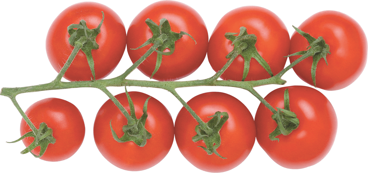 Red tomato es image for clipart 5