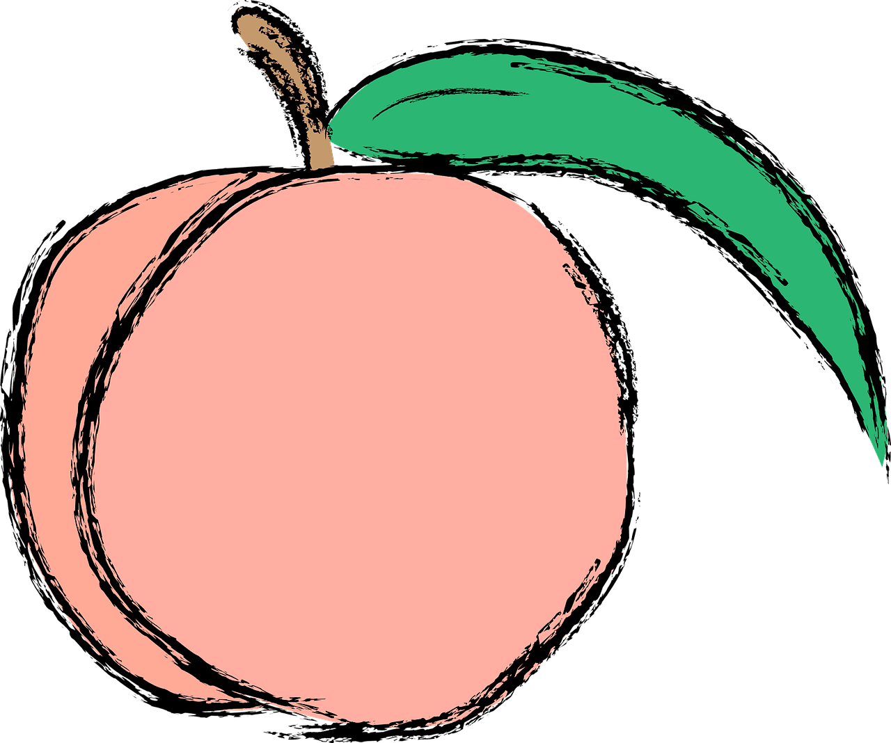 Peach fuzz is pantone color of the year by sharon johnson haven clipart free