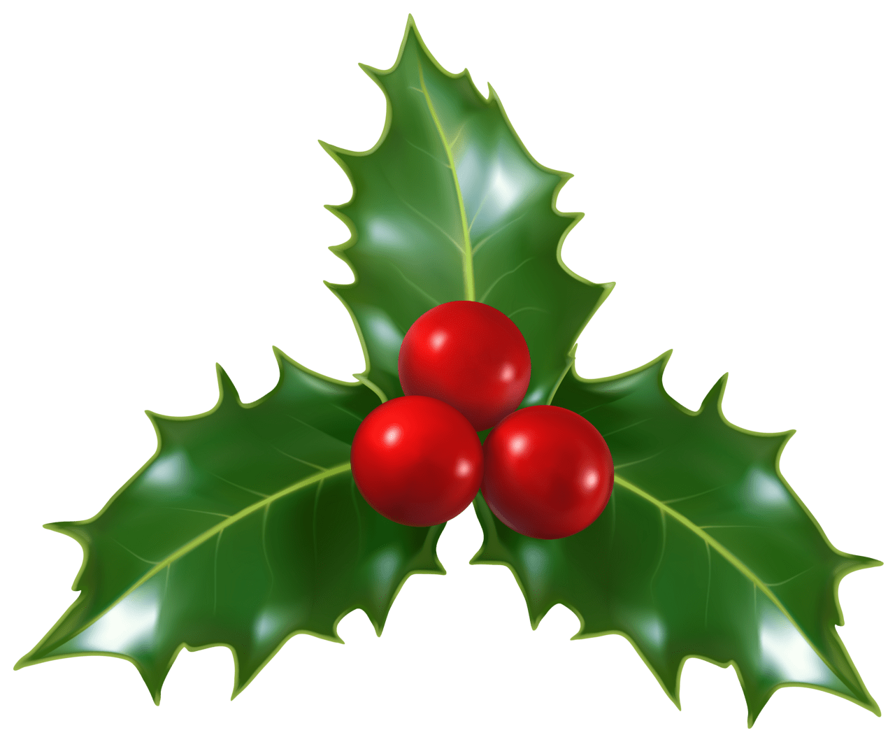 Christmas holly mistletoe clipart image 3