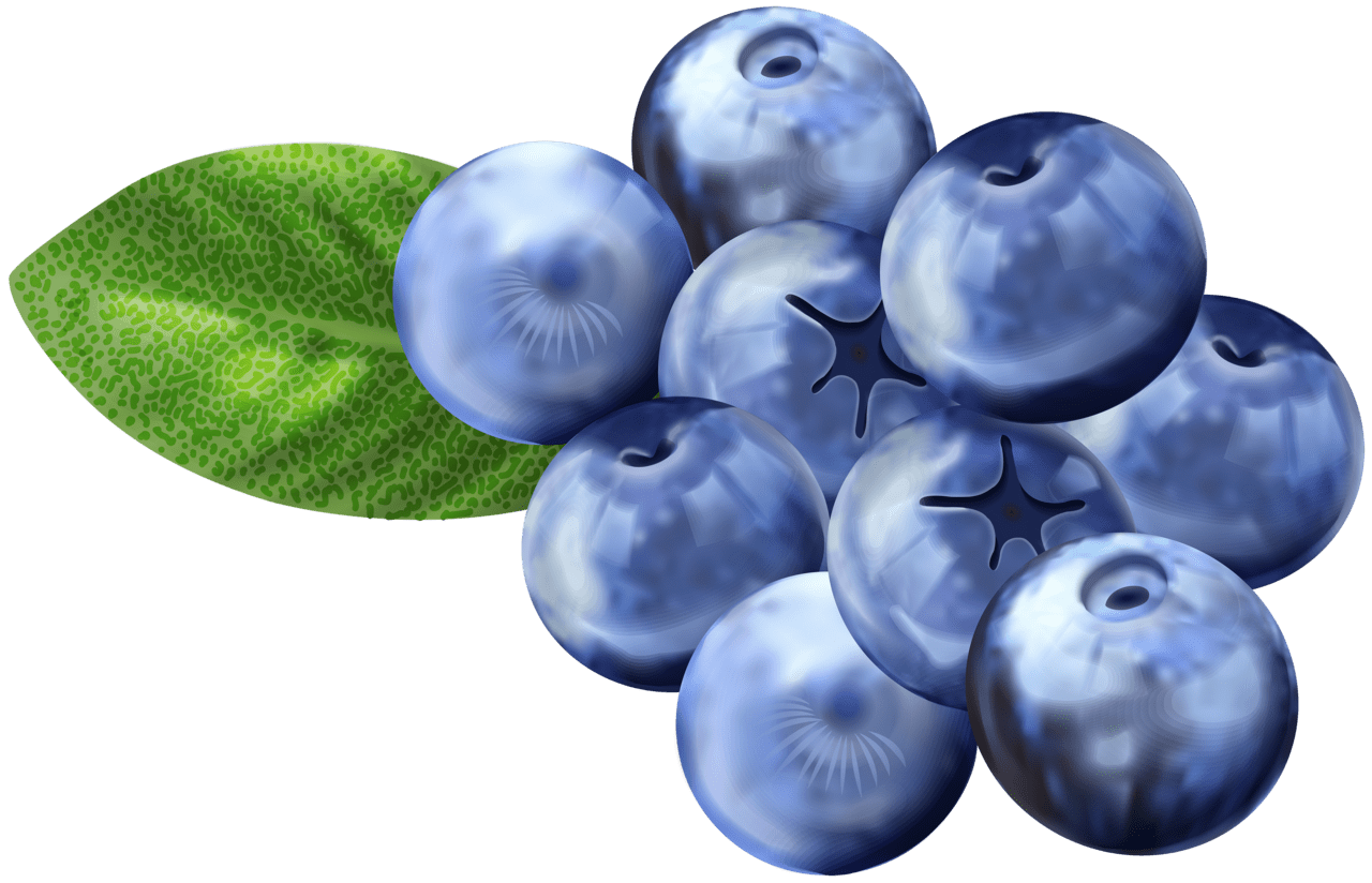 Image result for blueberry fruit cartoon clipart