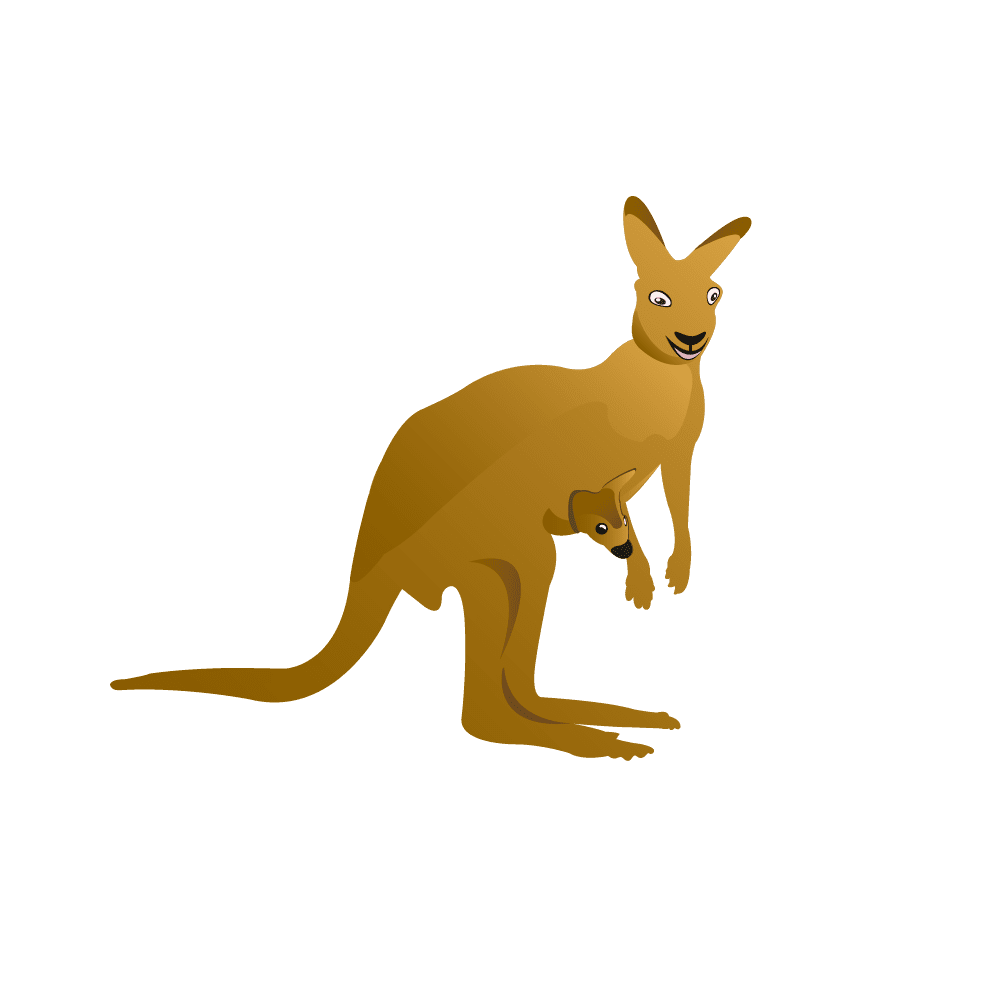 Kangaroo clipart picture 3