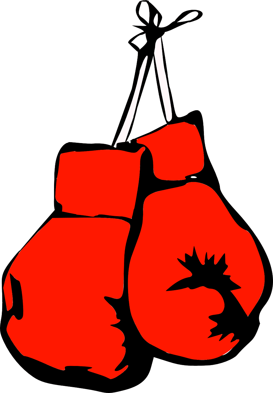 Boxing gloves vector art graphics clipart