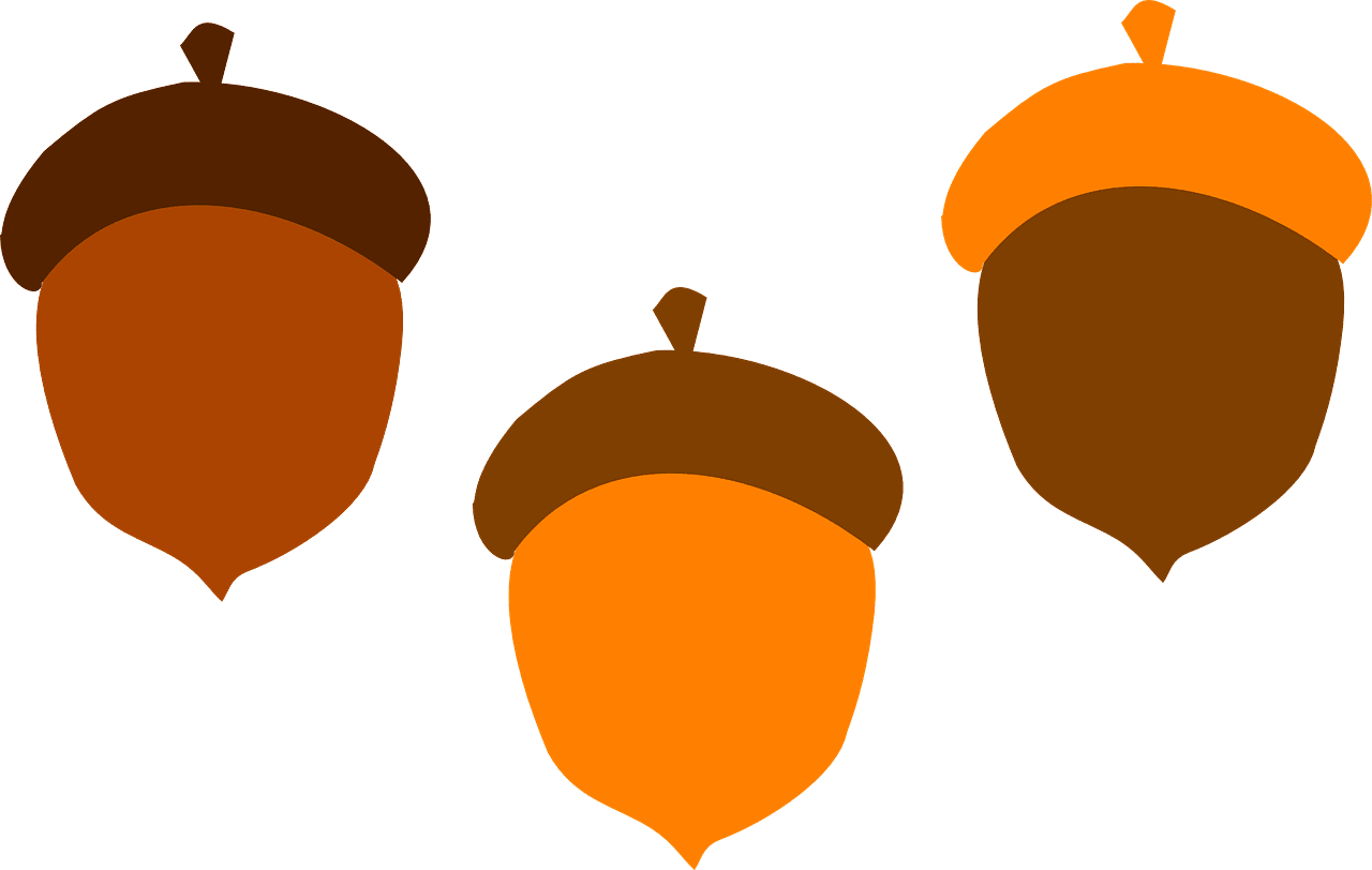 Acorn brown fall vector graphic clipart