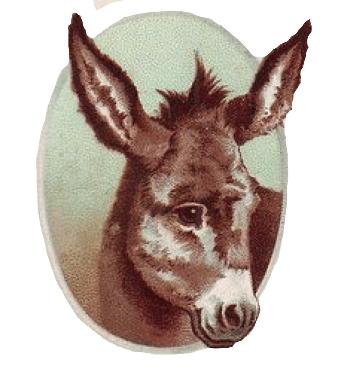 Donkey pin page clipart photo