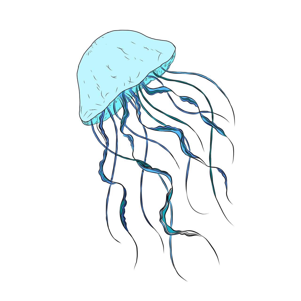 Jellyfish aquatic marine image clipart