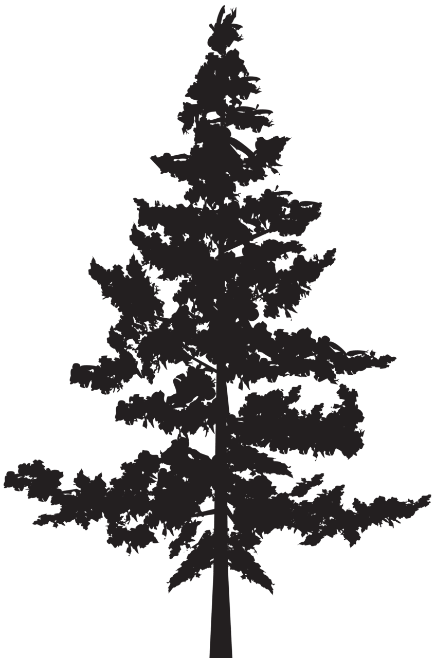 Pine tree silhouette clipart image