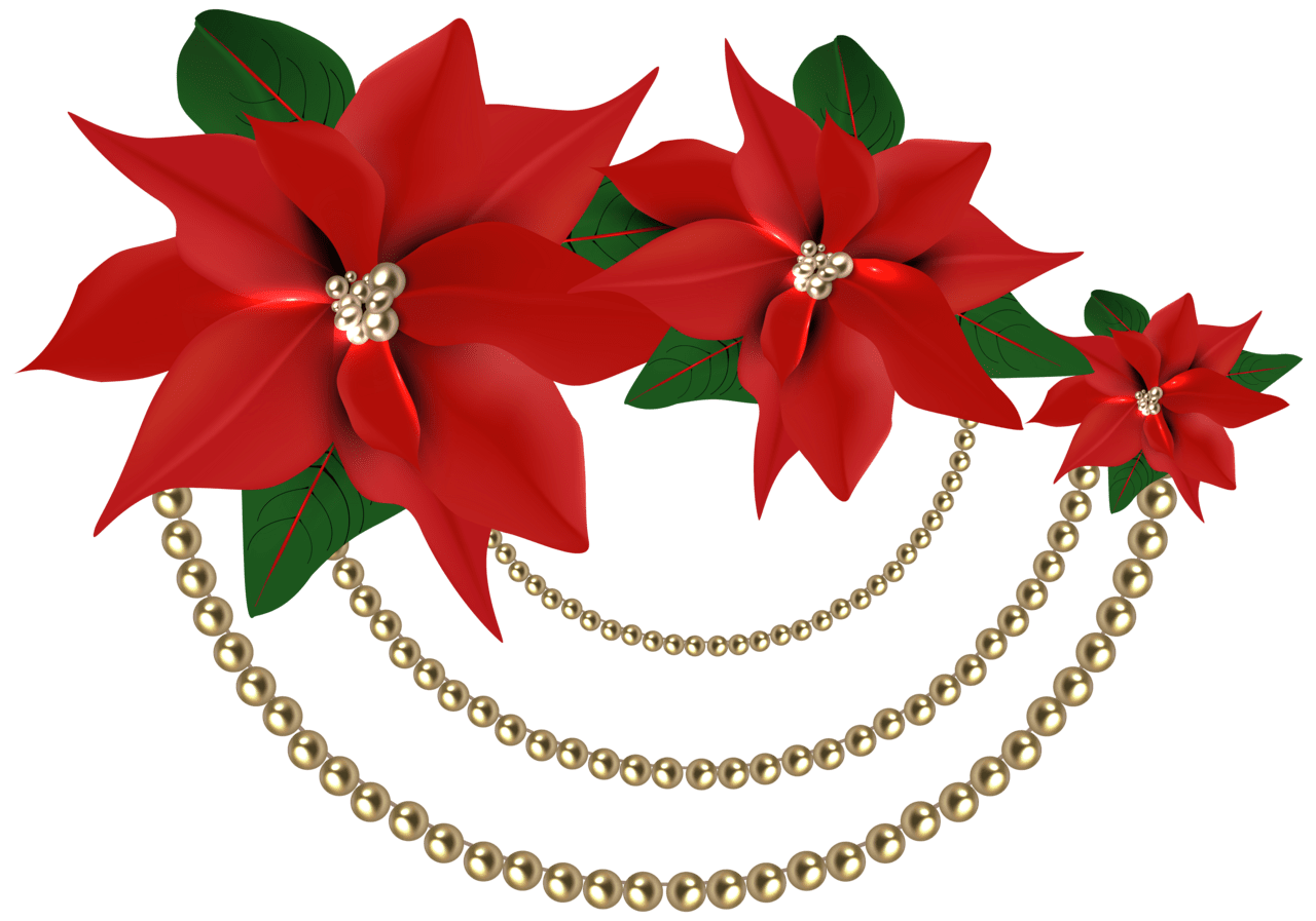 Decorative christmas poinsettia with pearls clipart image high quality images and