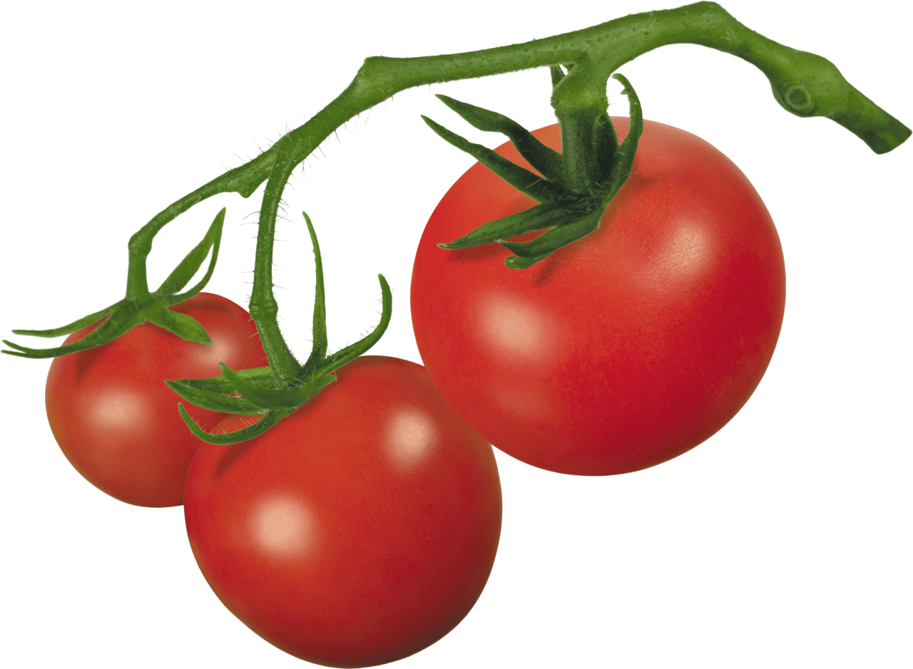 Red tomato es image for clipart 2