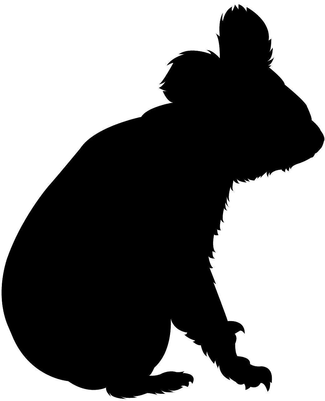 Koala silhouette clipart photo