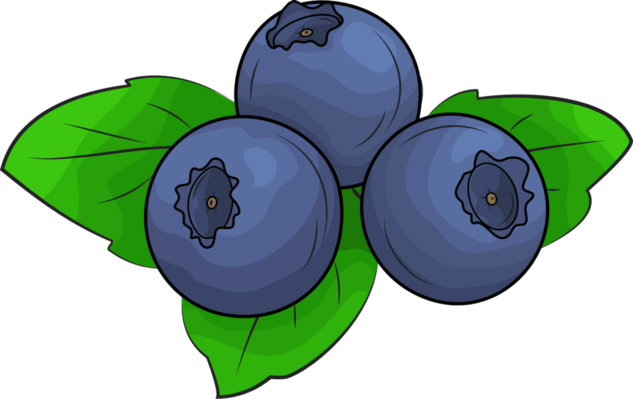 Blueberry blueberries vector clipart images