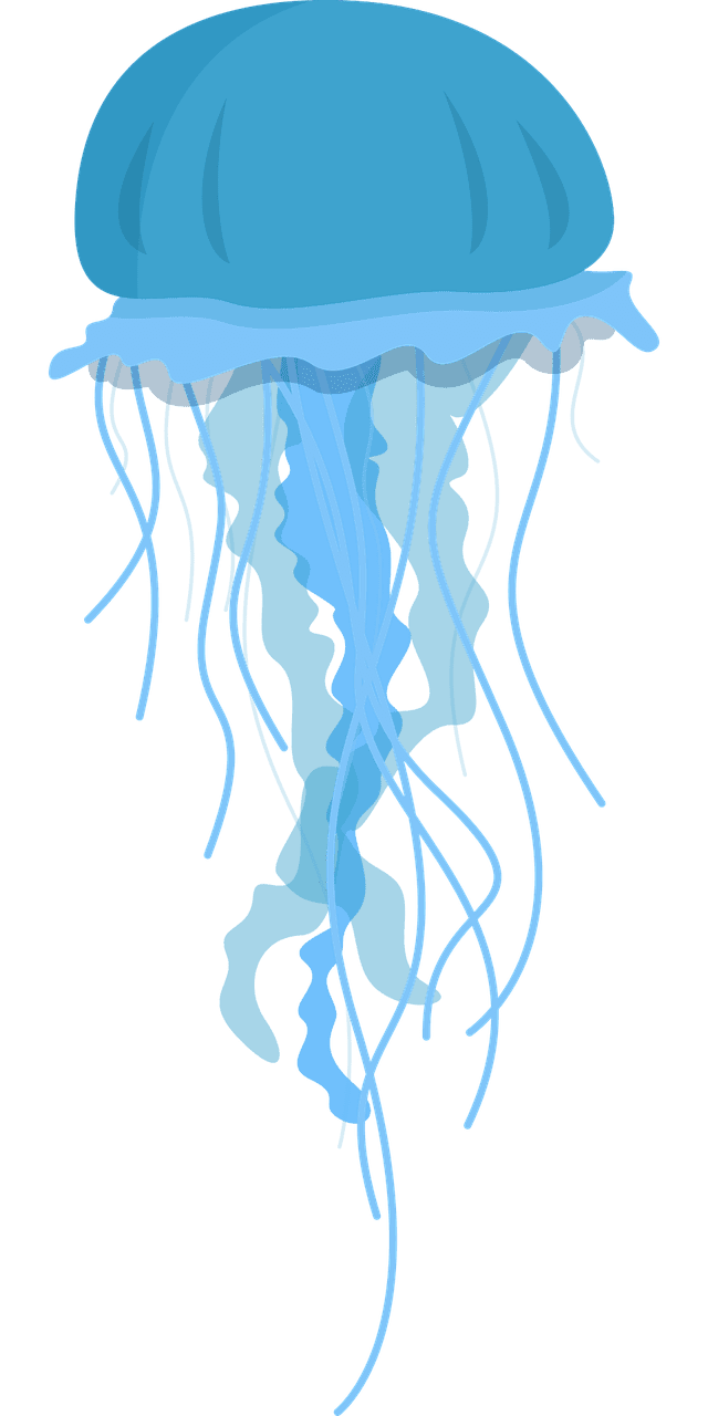 Over jellyfish vectors clipart