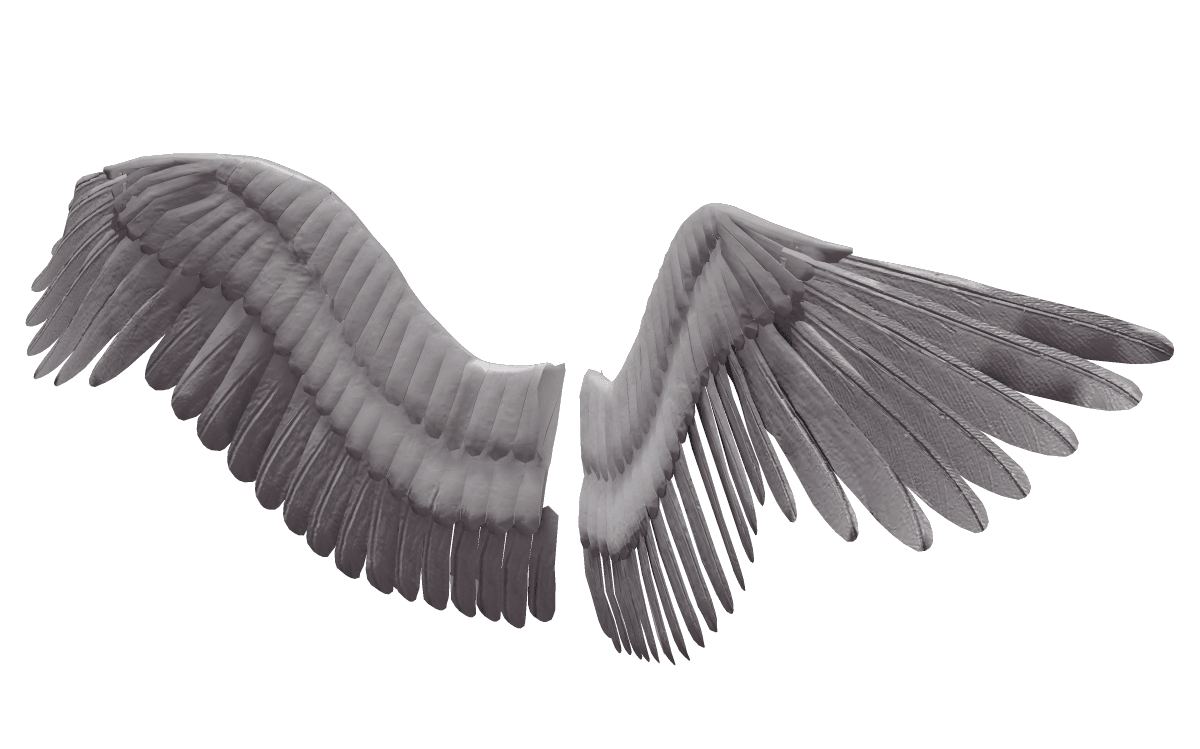 Angel wings pin page clipart picture 3