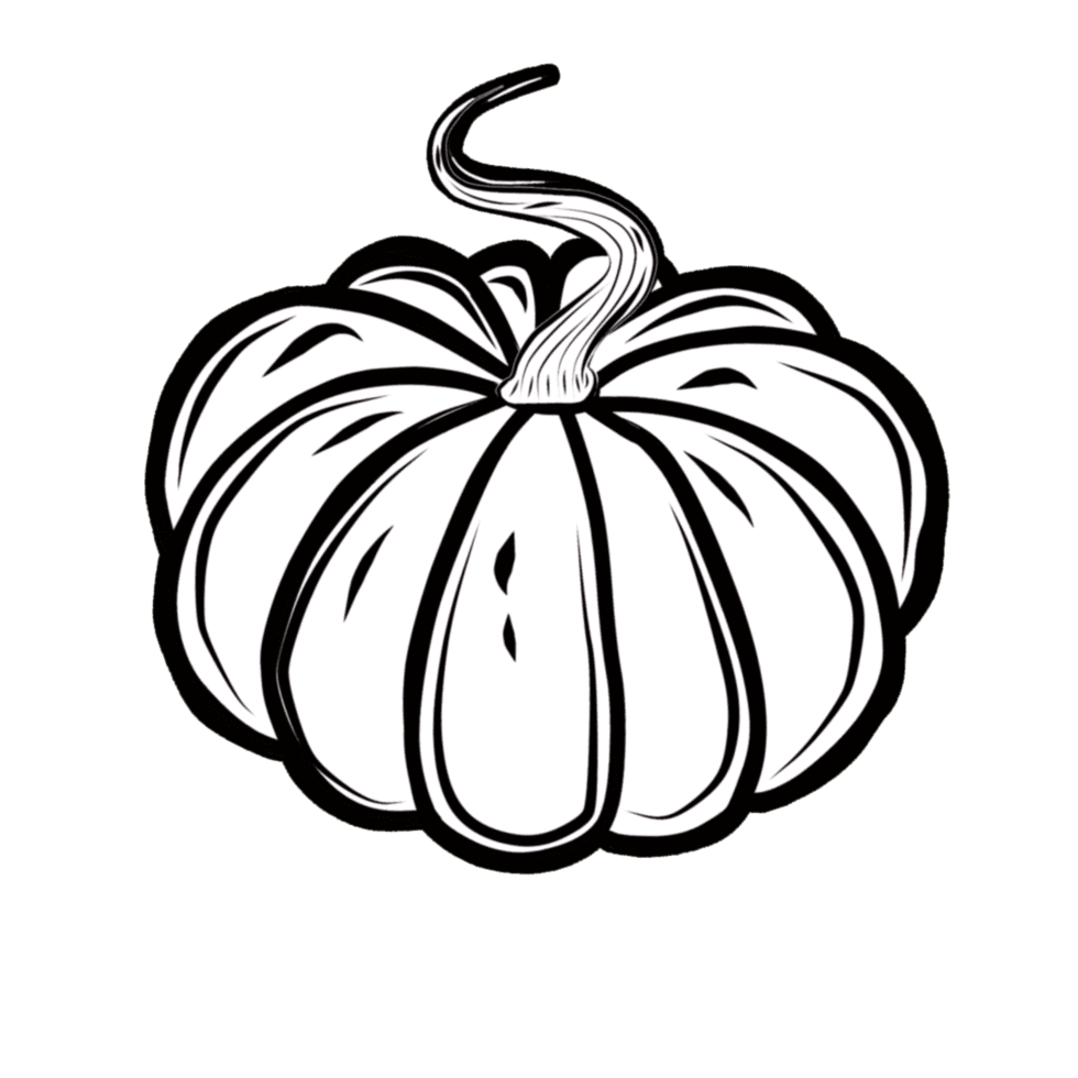 Pumpkin black and white orange with background clipart