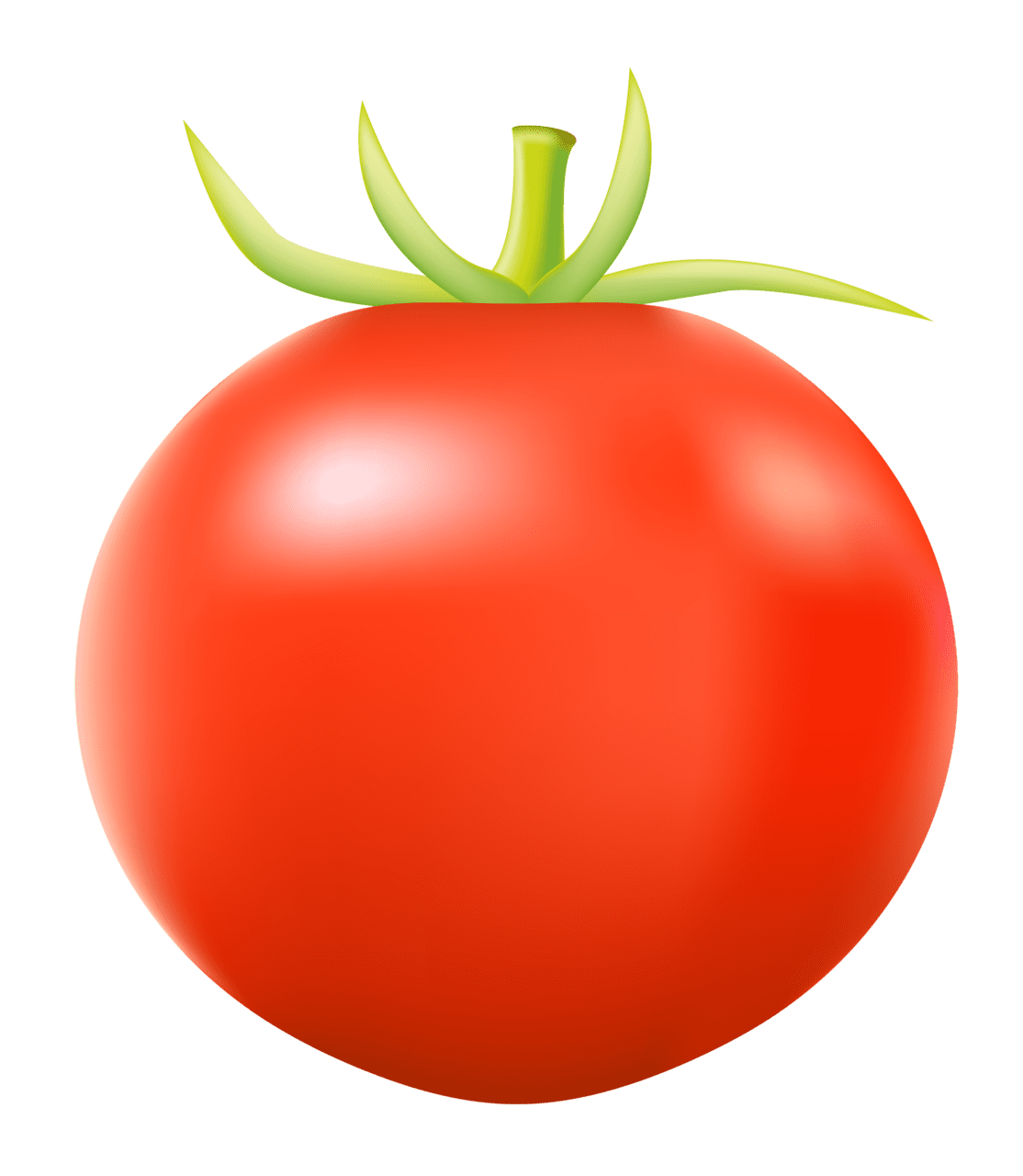 Vegetable clipart picture