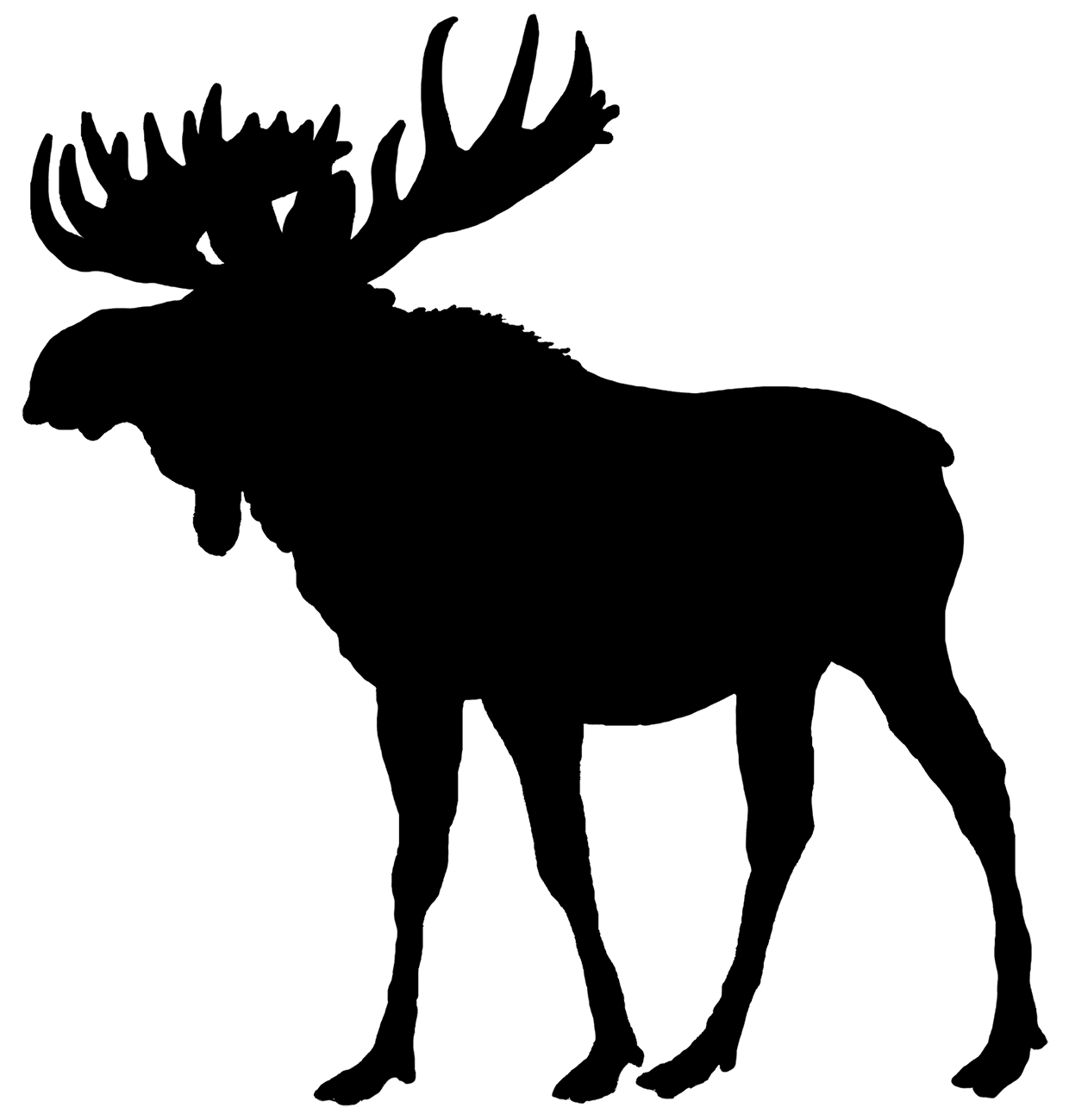 Moose animal silhouette clipart vector