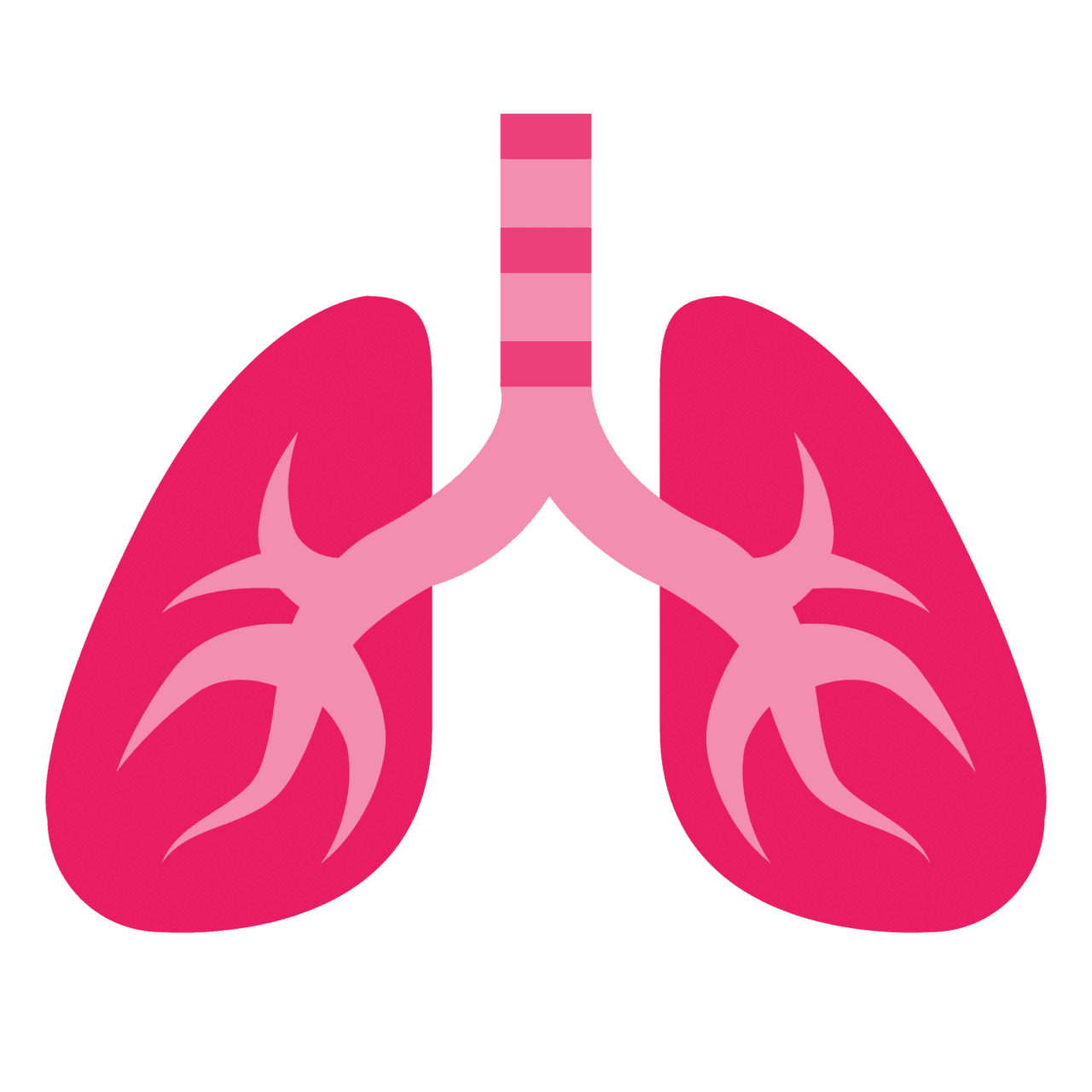 Lungs lung vector art medical graphics anatomy clipart 2