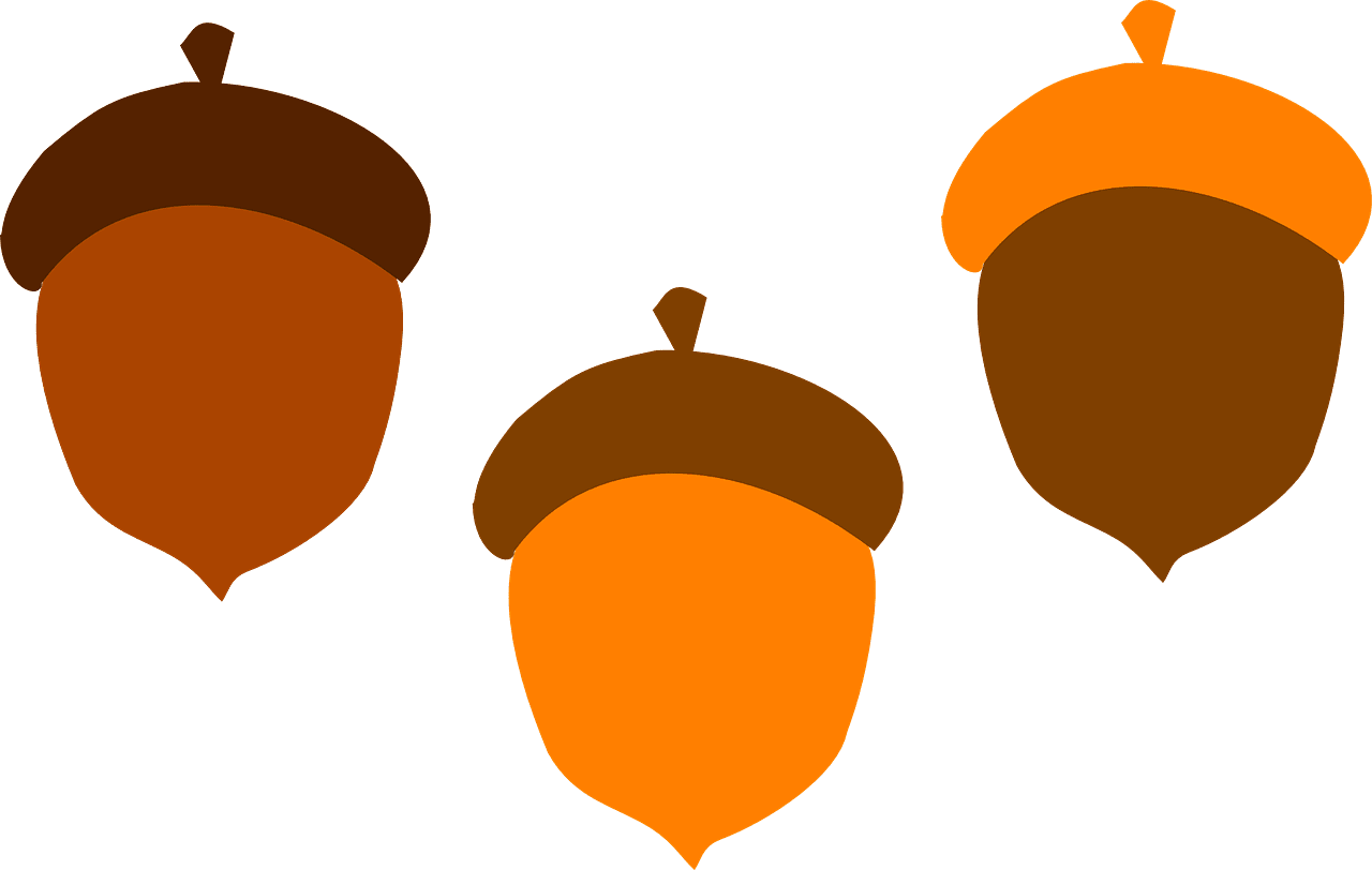 Acorn eikel brown val gratis vectorafbeelding op pixabay clipart