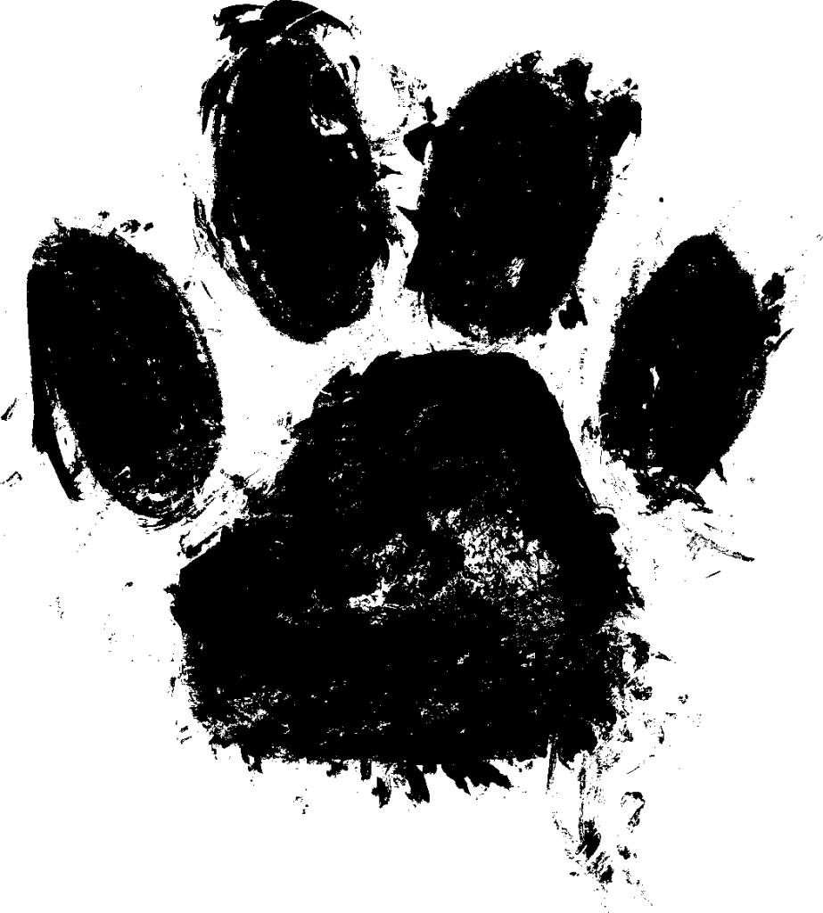 Grunge paw print lygfx clipart image