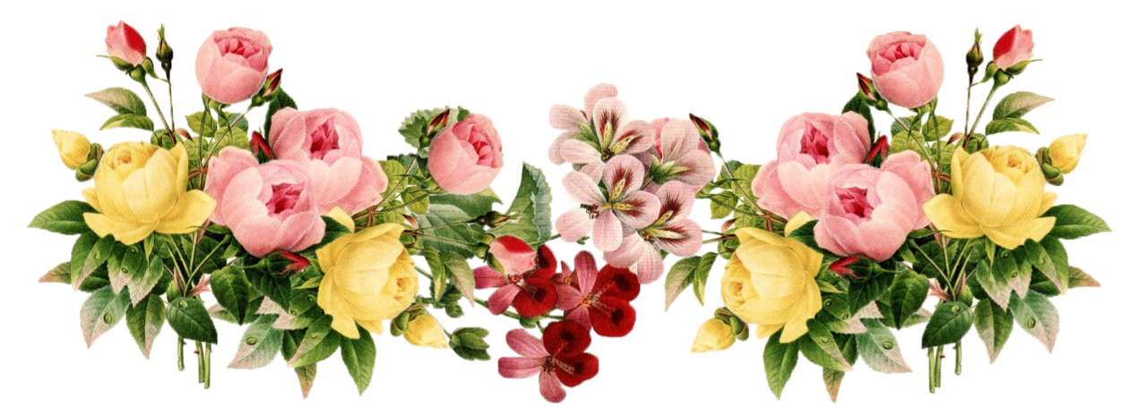 Flower bouquet flowers vintage cartoon frame design clipart best free