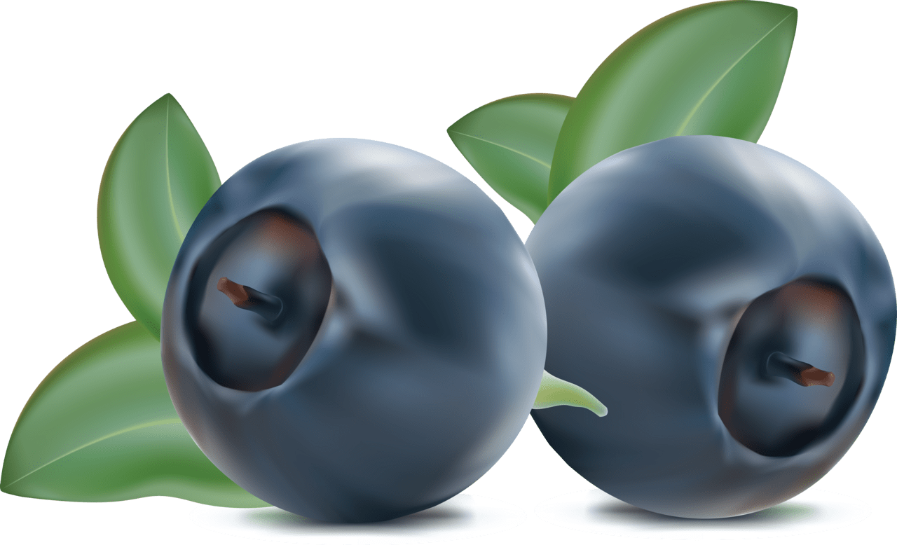 Blueberry blueberries image for clipart