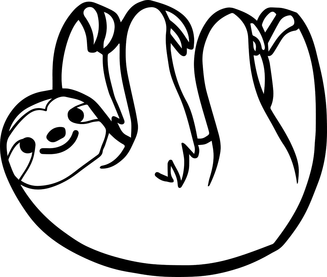 Sloth vector clipart images