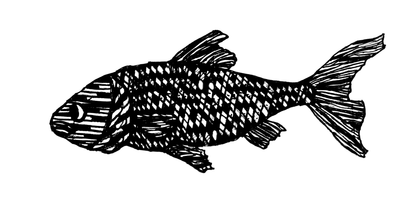 Fish black and white clipart clip art