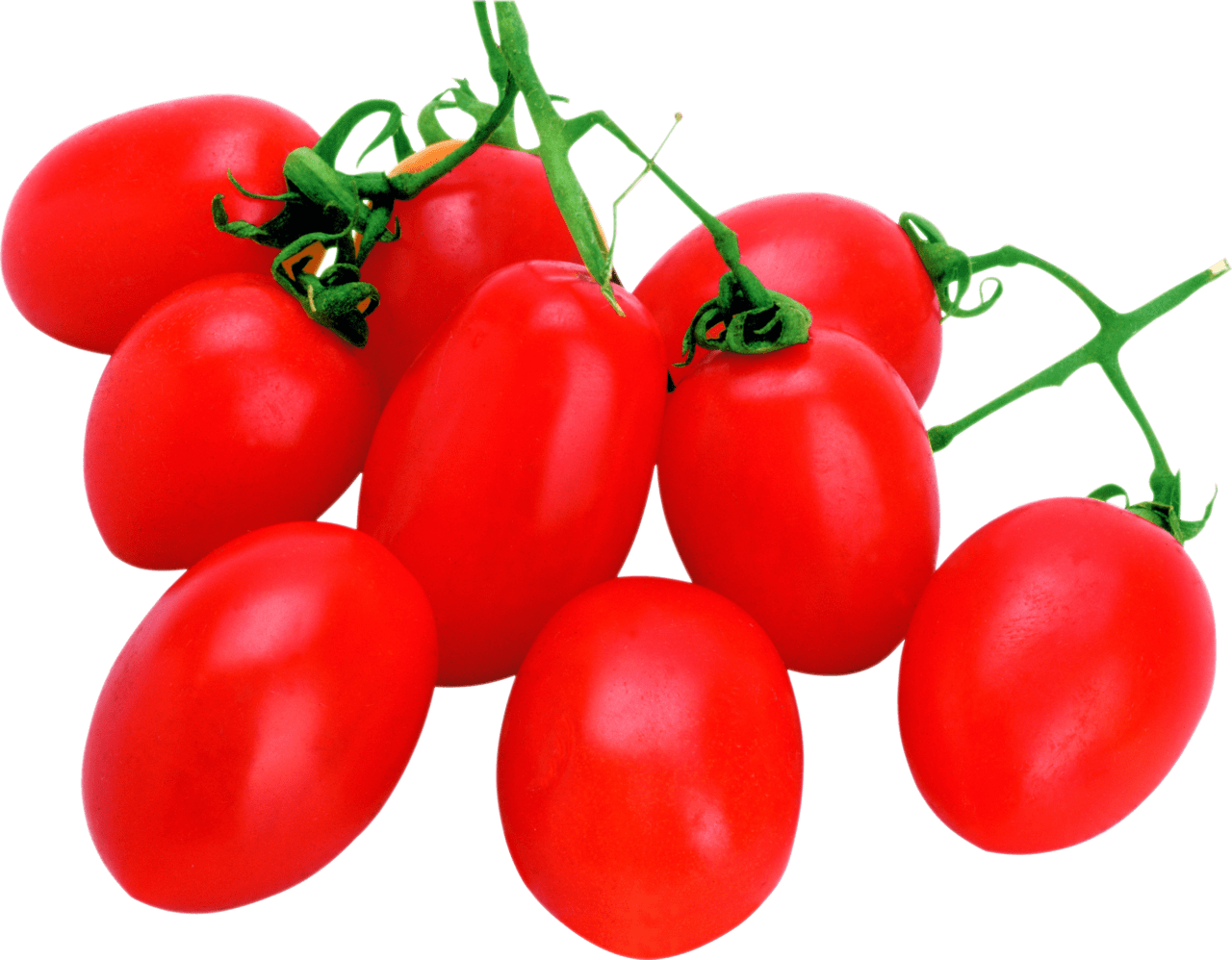 Tomato clipart background