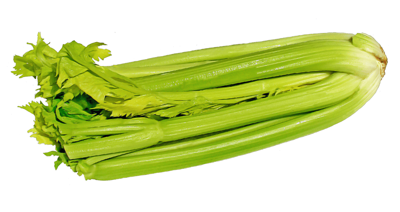 Vegetable green celery clipart picture