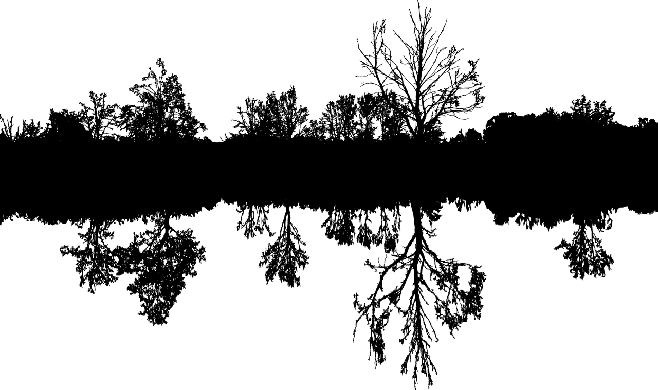 Forest landscape nature reflection vector graphic clipart