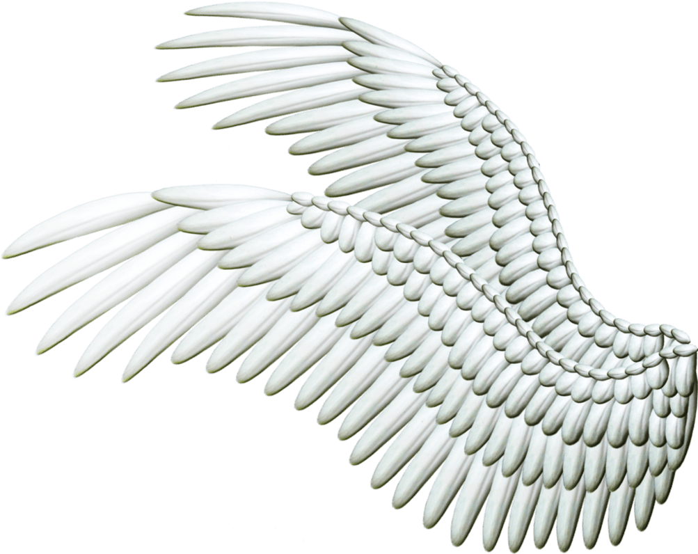 Angel wings double spread white by thy darkest hour deviantart clipart background