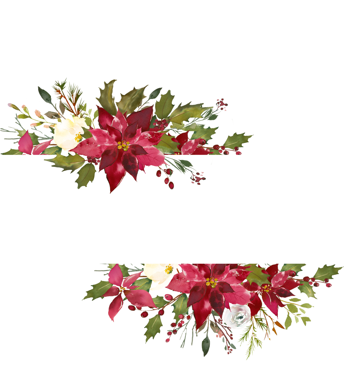 Poinsettia clipart clip art