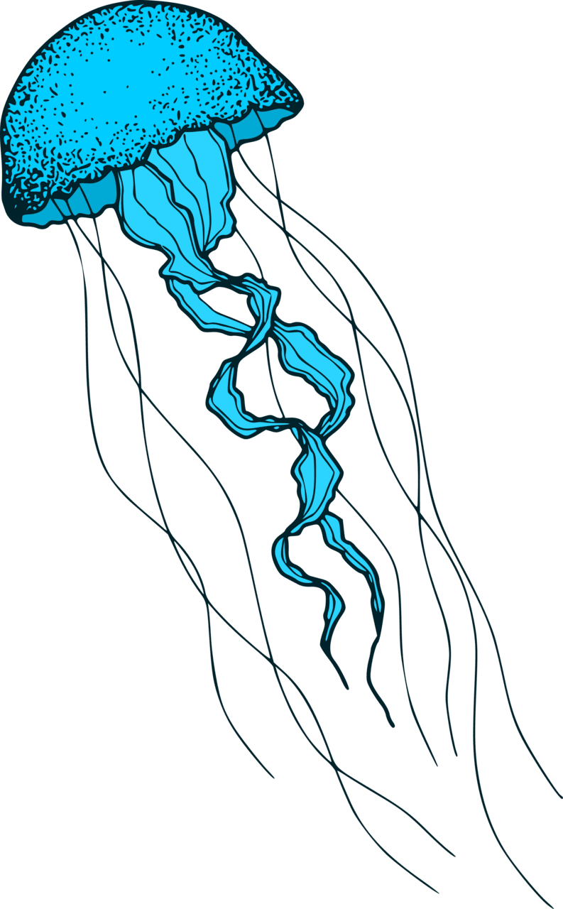 Blue jellyfish clipart clip art