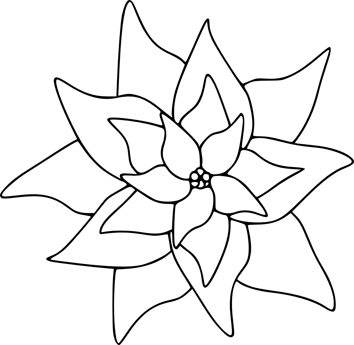 Poinsettia black and white images clipart