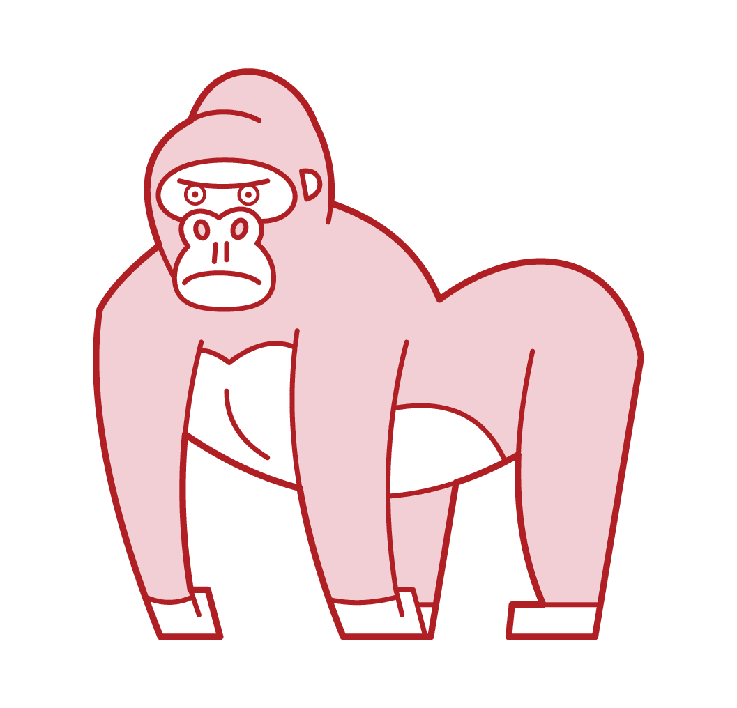 Gorilla clipart photo