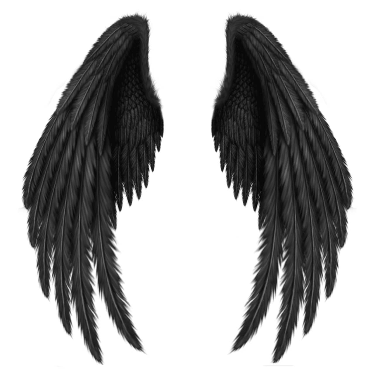 Angel wings black gs clipart background