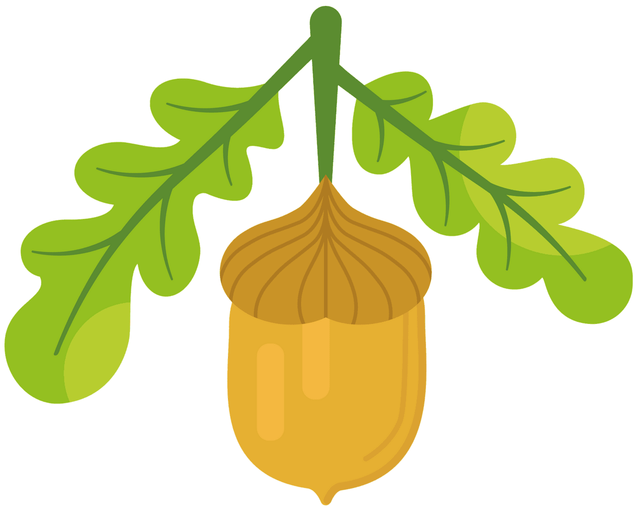 Acorn vector clipart images 3