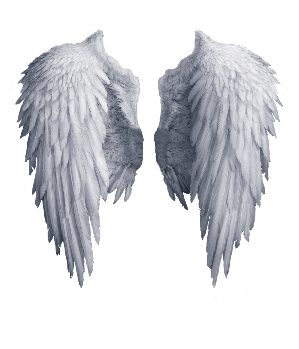 Angel wings images clipart