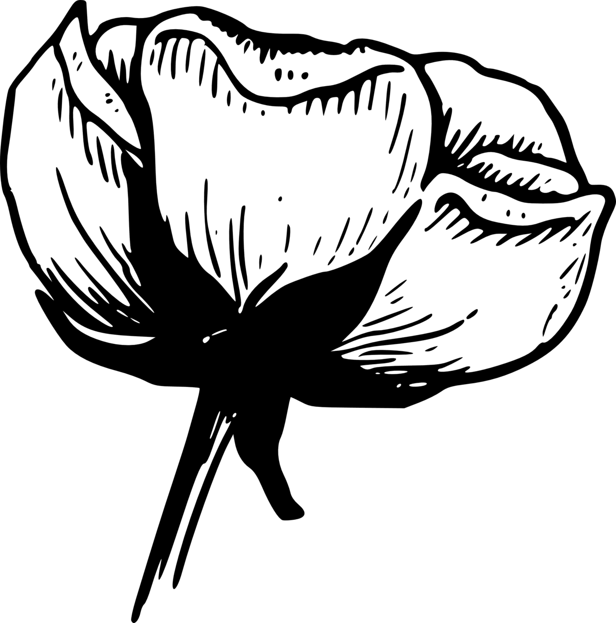 Floral black and white hd image clipart