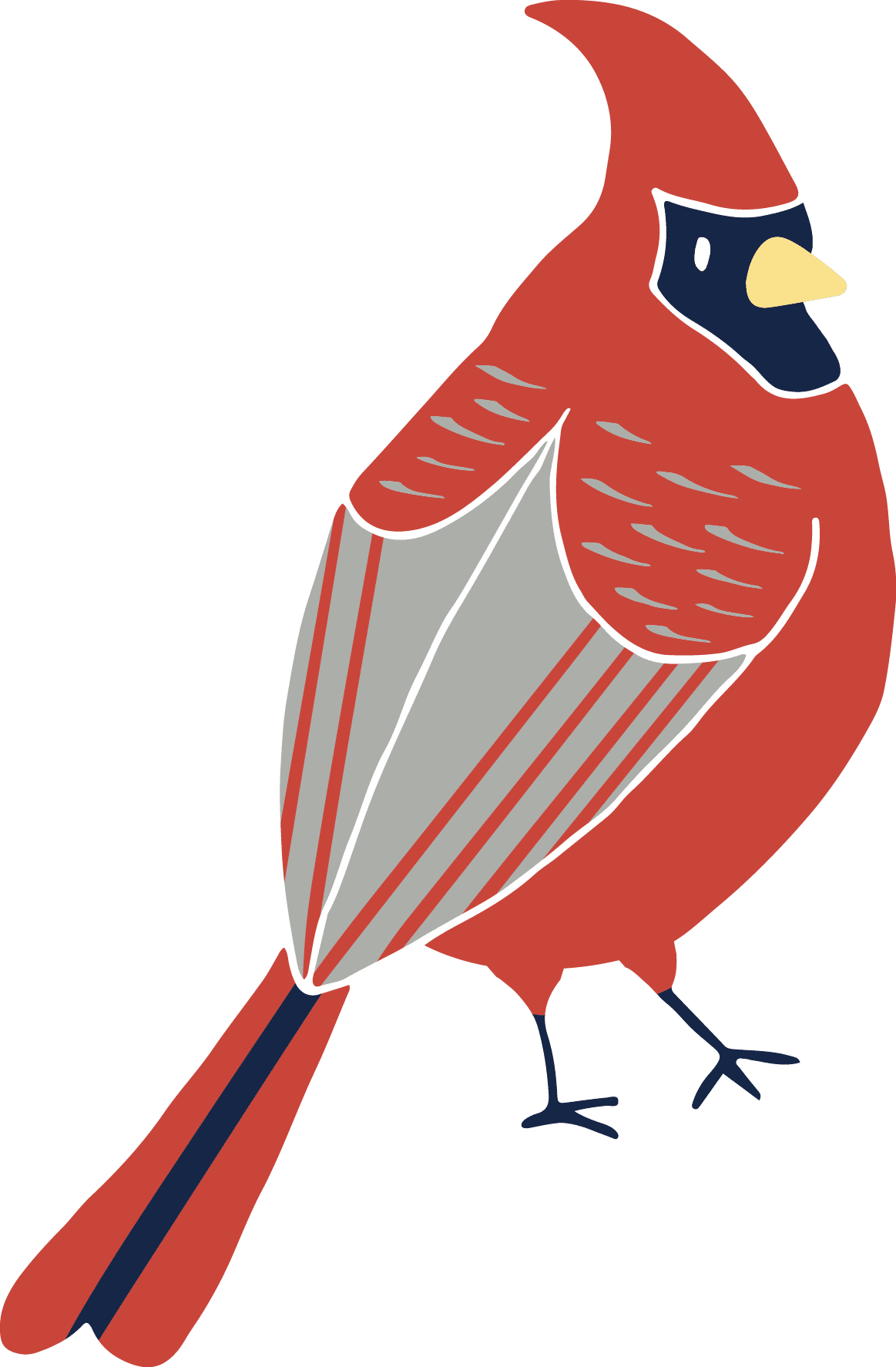 Cardinal pin page clipart photo