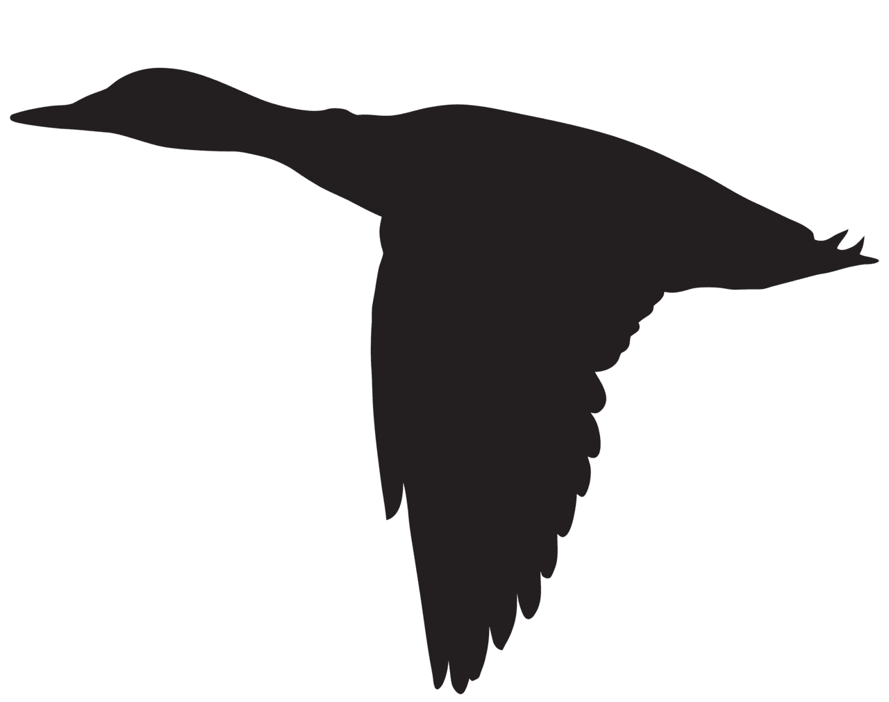 Duck fly ing silhouette clipart image