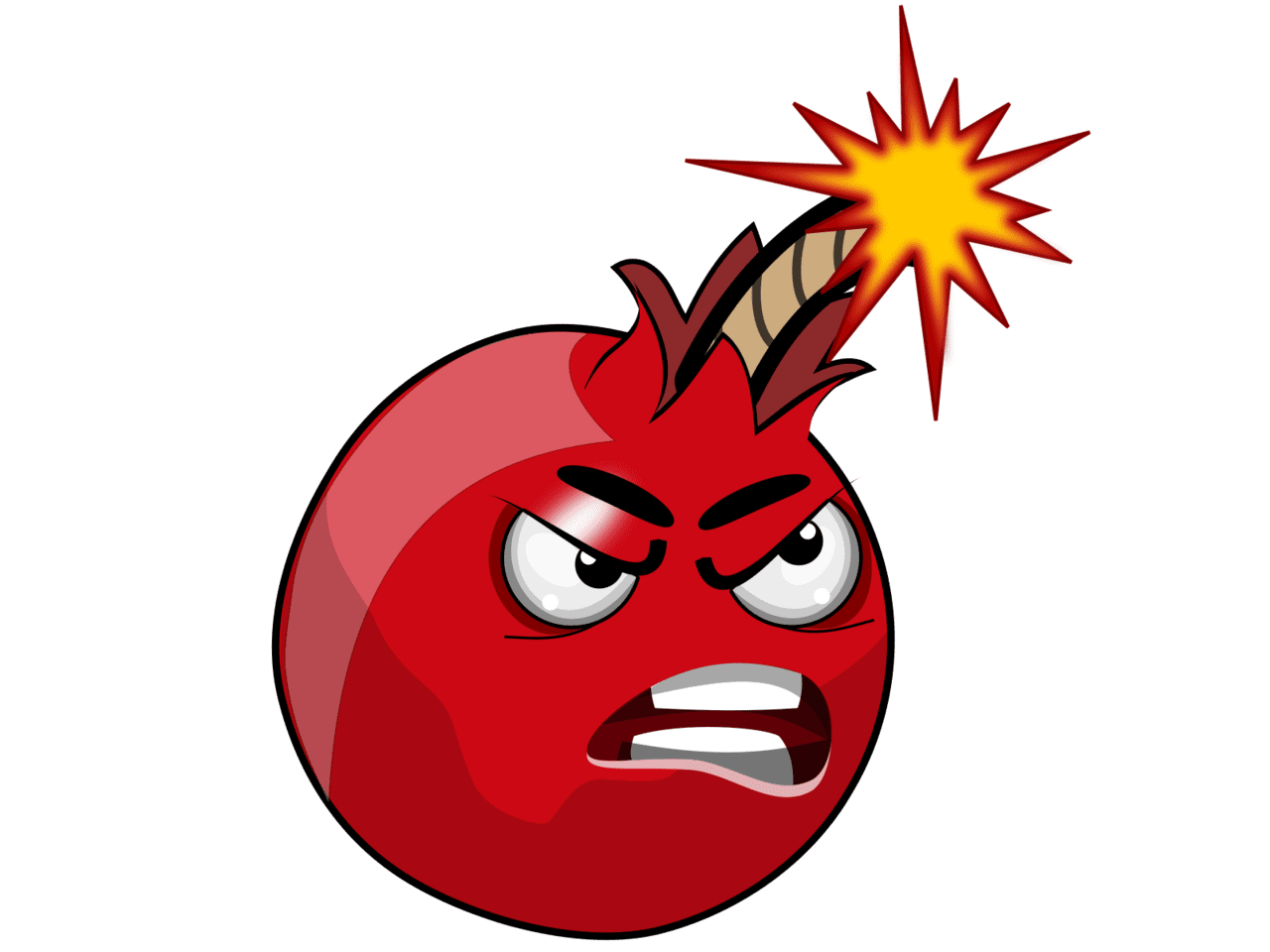 Pomegranate bomb clipart vector