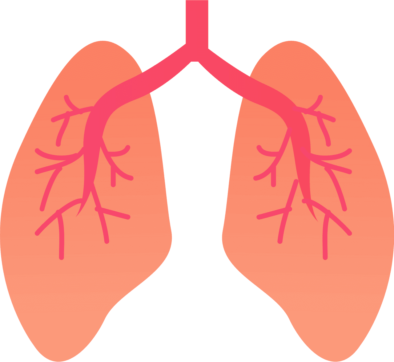 Lungs clipart images