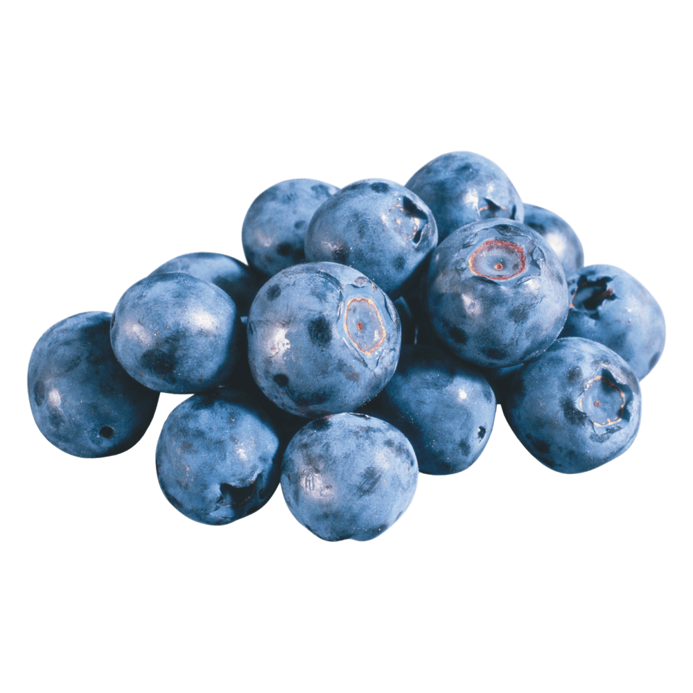 Blueberry blueberries images hd photo clipart 2