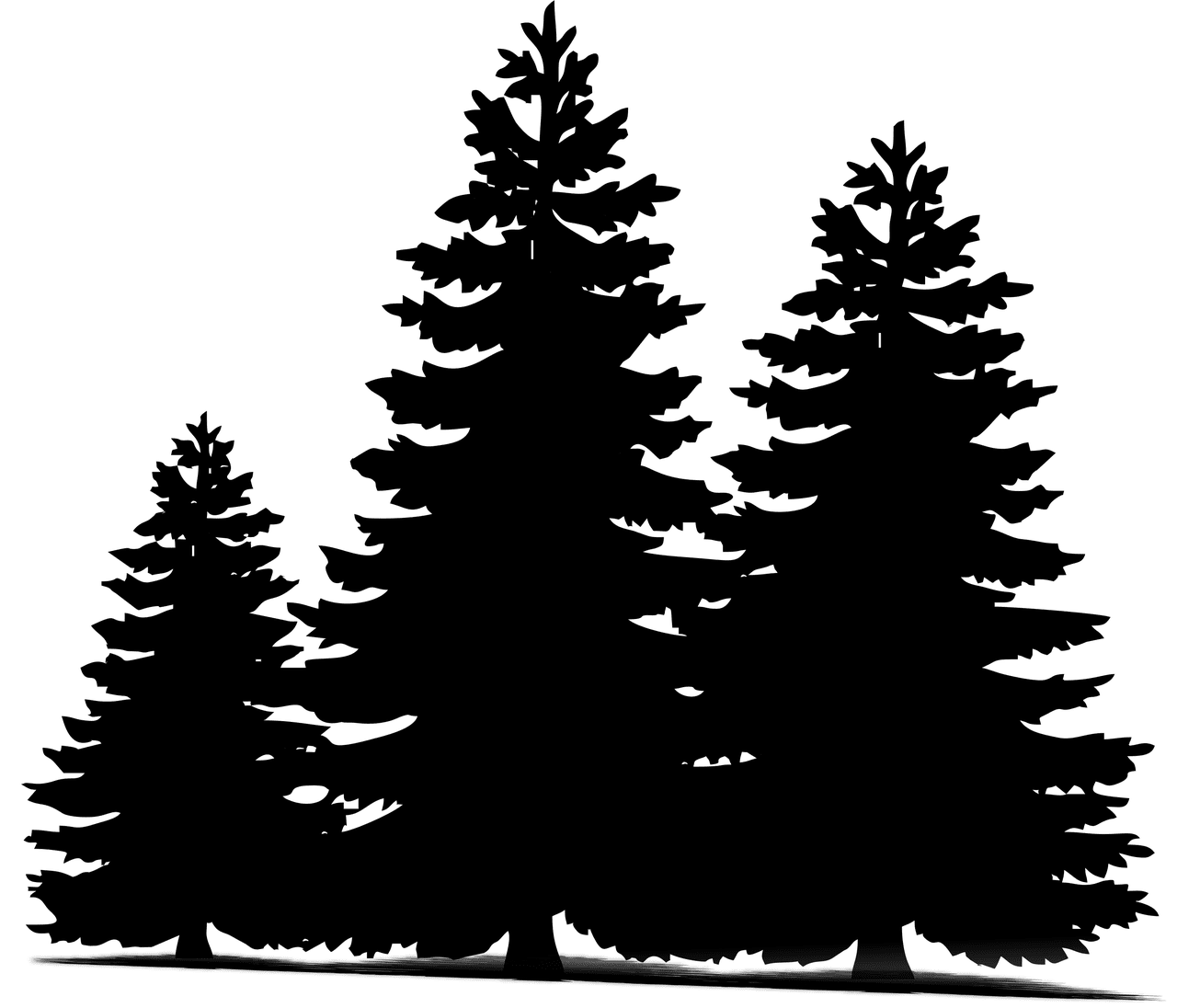 Pine tree trees christmas image clipart