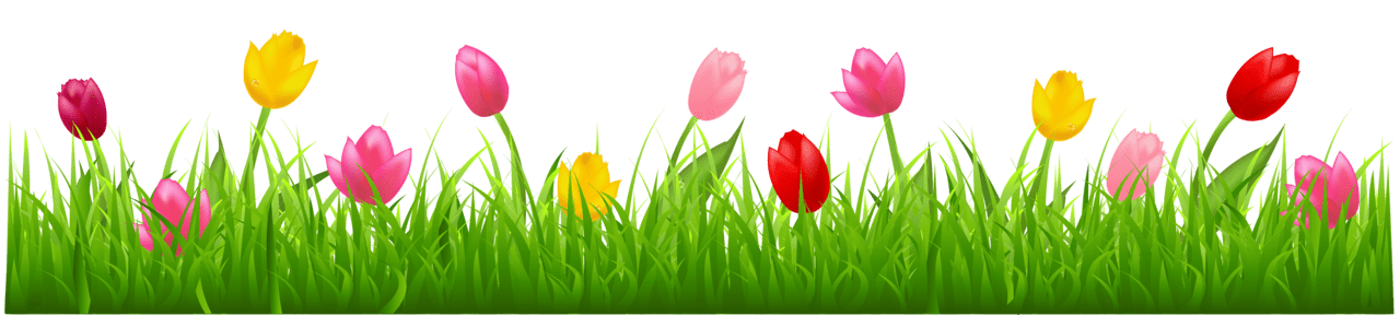 Grass with colorful tulip clipart free