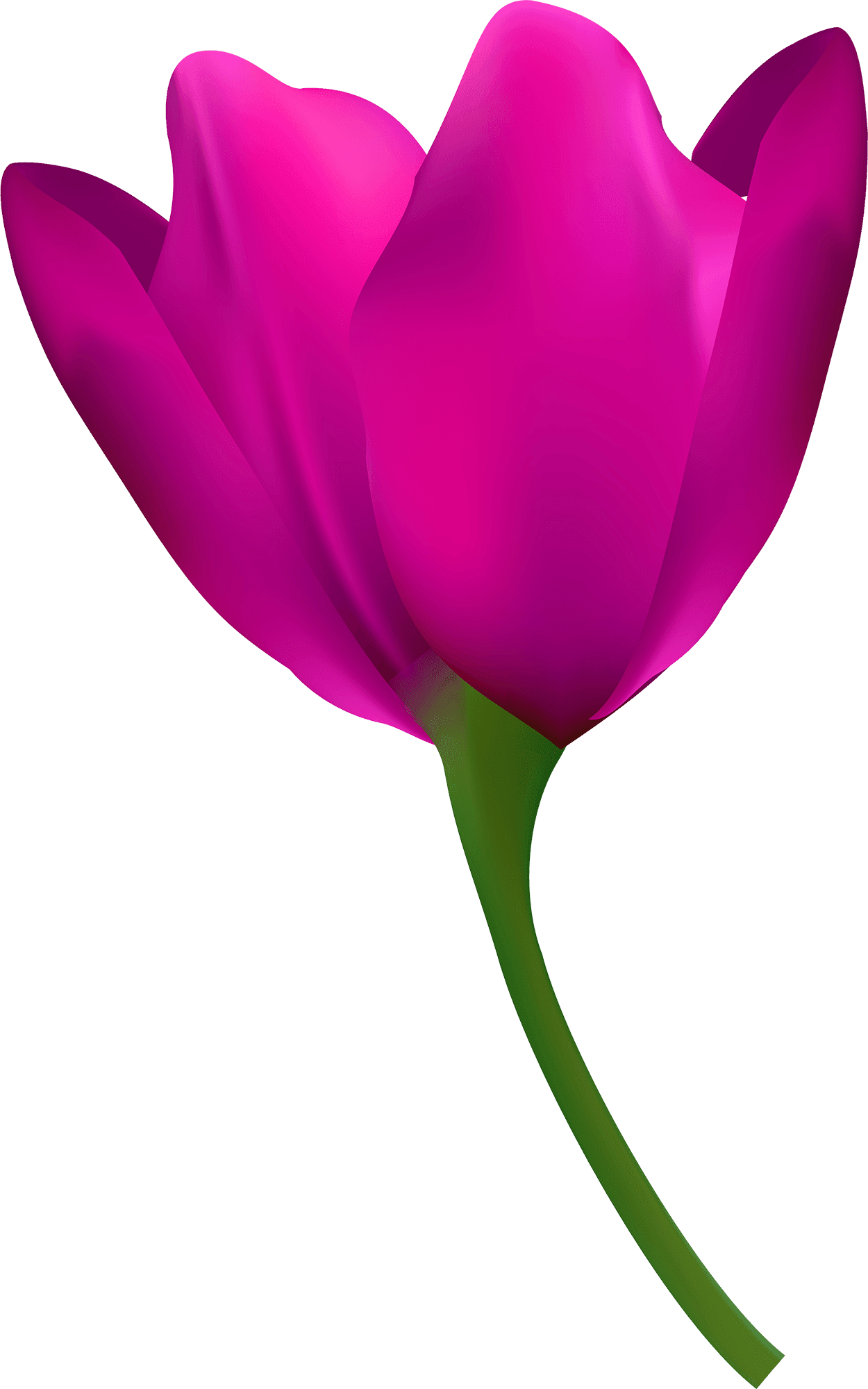Tulip tropical flower leaf clipart logo