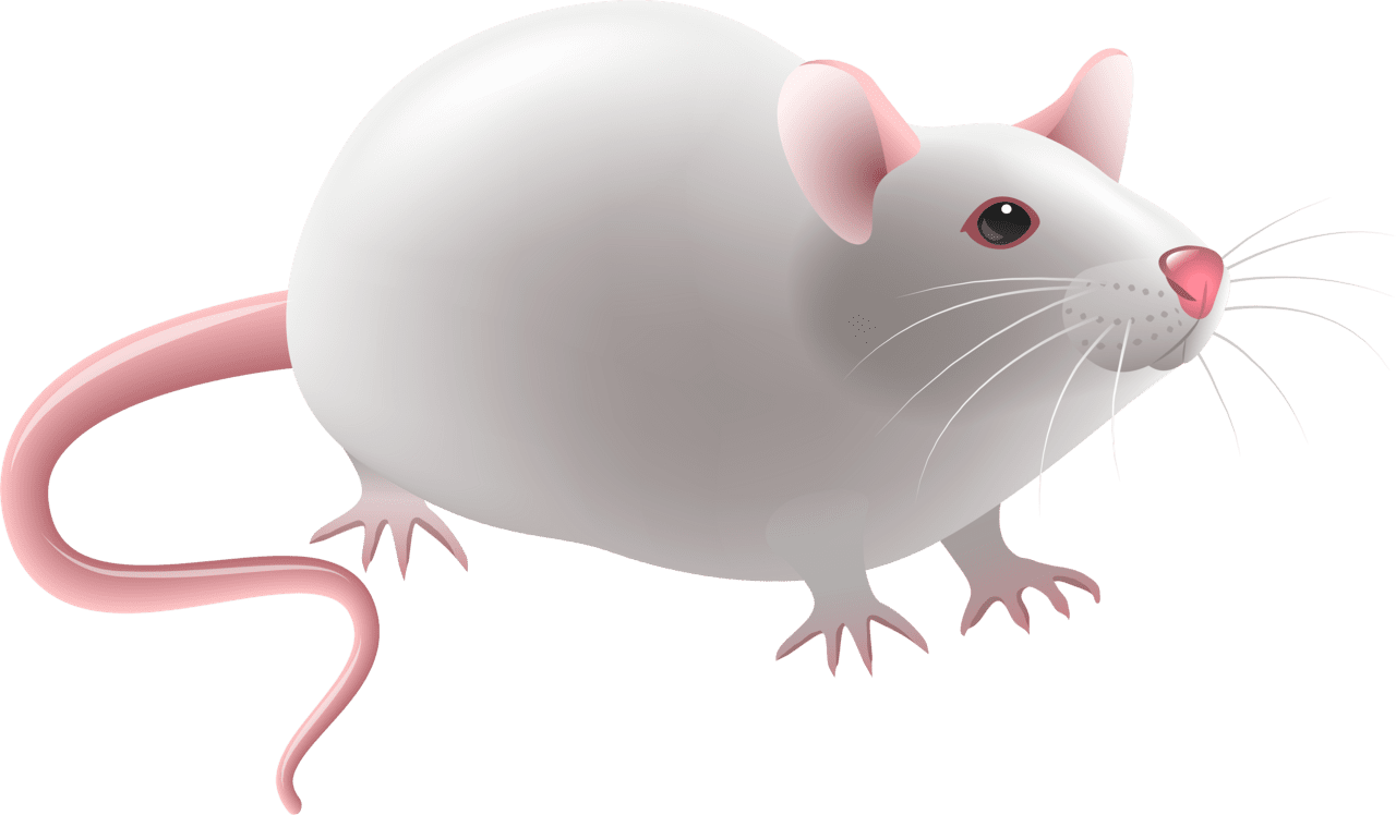 Mice mouse clipart experimental logo