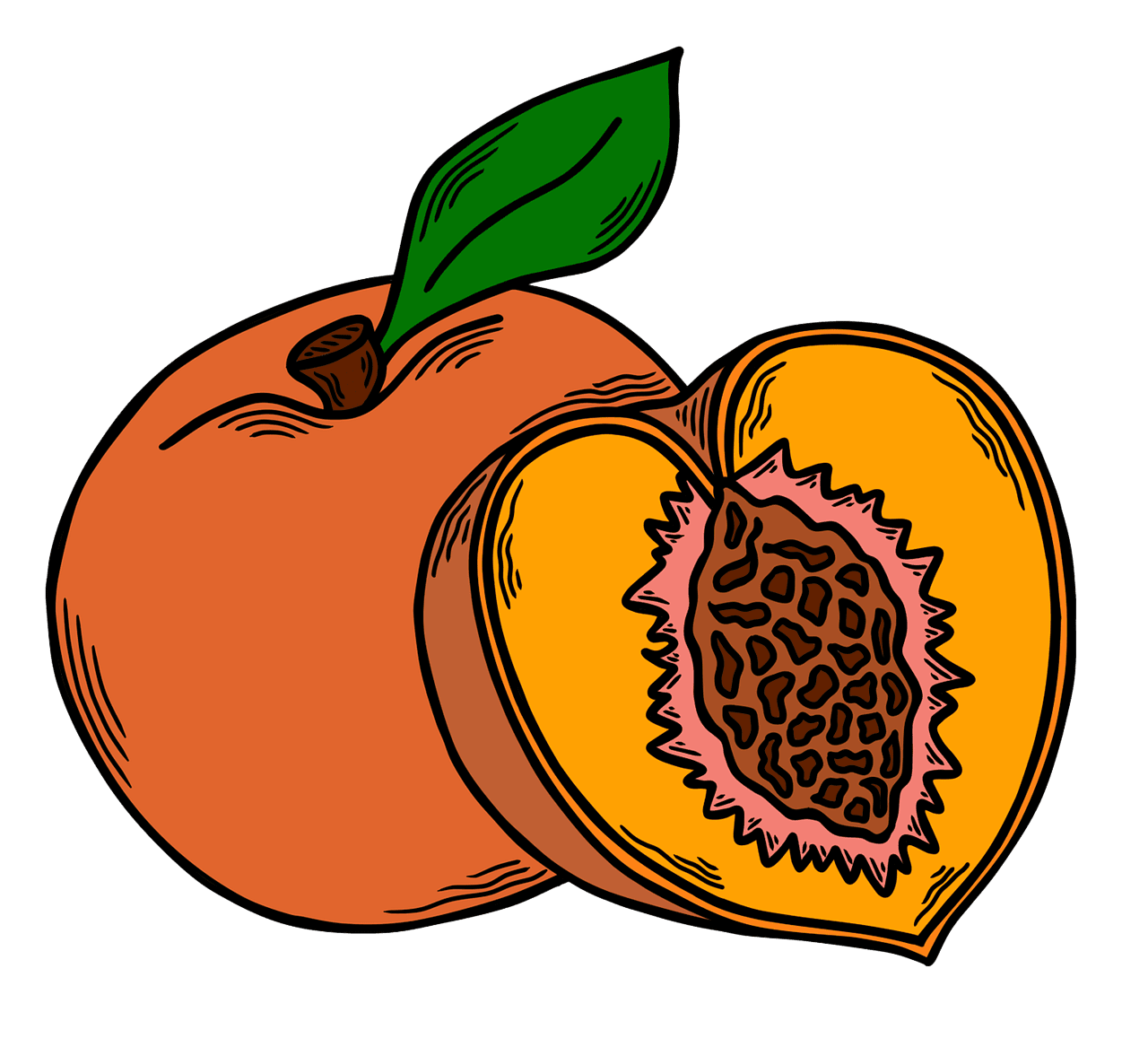 Explore peach es now clipart transparent