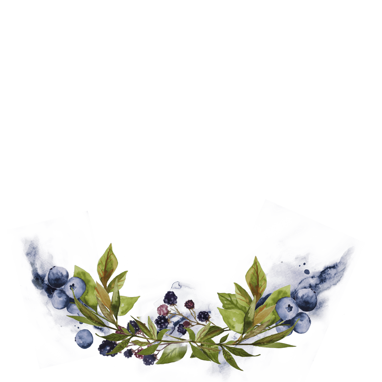 Blueberry watercolor flowers clipart free