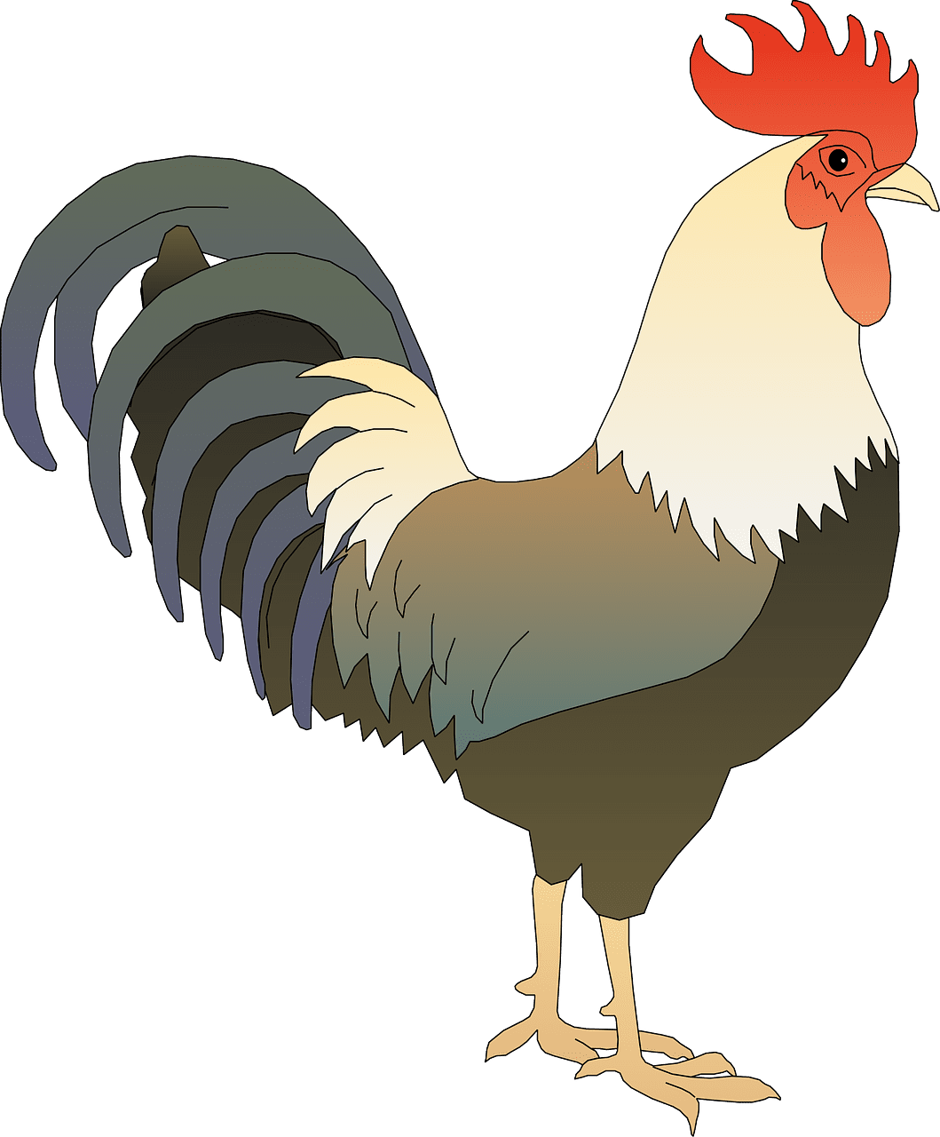 Rooster robinet teau poulet images vectorielles gratuites sur pixabay clipart